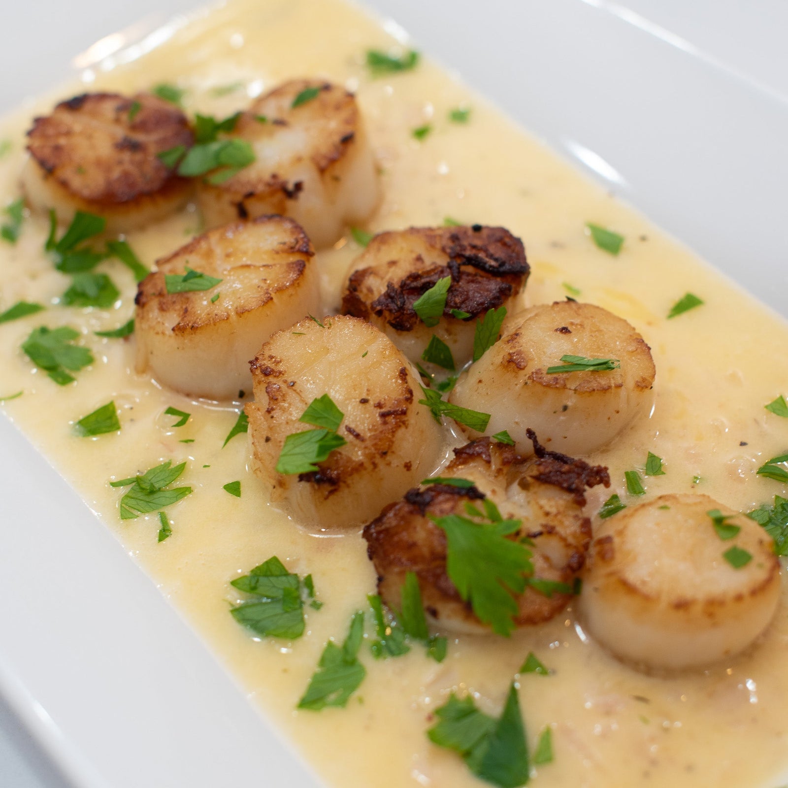 Lemon Garlic Seared Scallops
