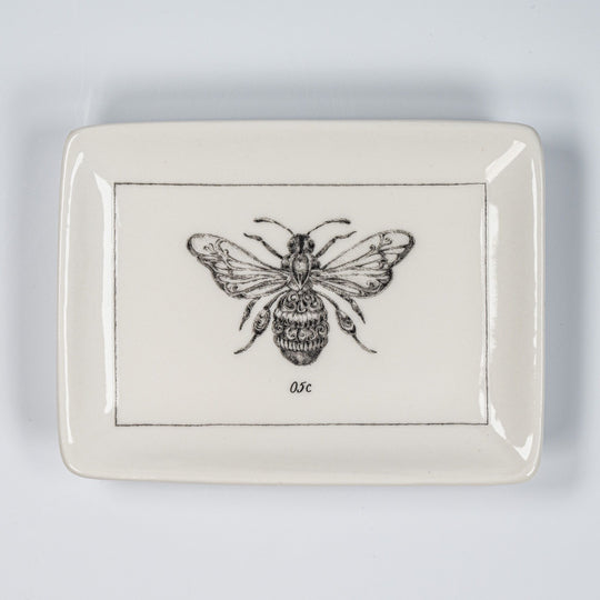 Insect Plate