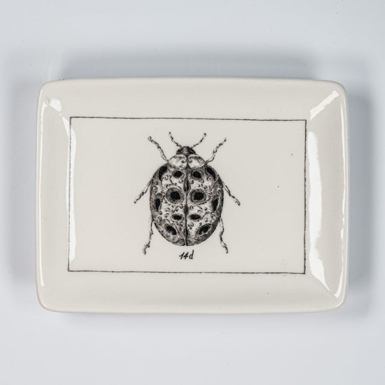 Insect Plate
