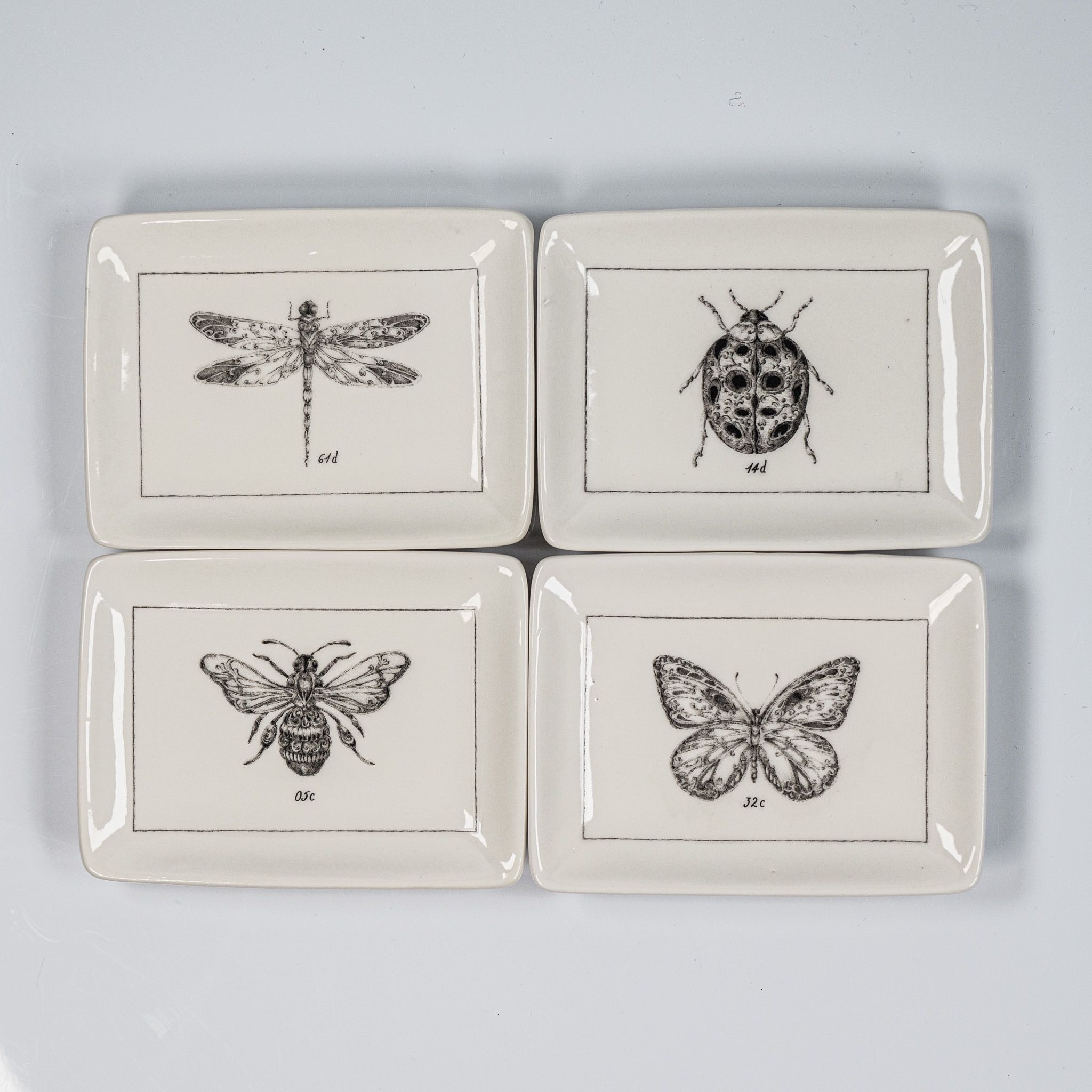 Insect Plate – Stella's Table
